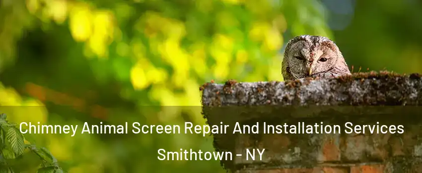  Chimney Animal Screen Repair And Installation Services Smithtown - NY