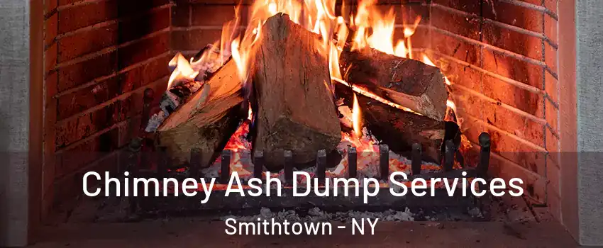  Chimney Ash Dump Services Smithtown - NY
