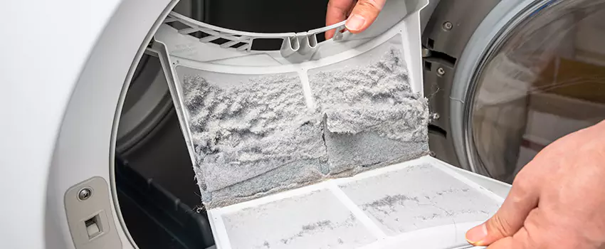 Best Dryer Lint Removal Company in Smithtown, New York