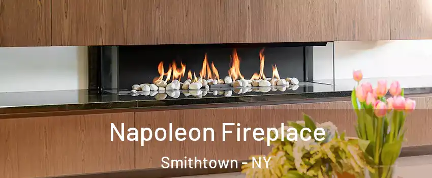  Napoleon Fireplace Smithtown - NY